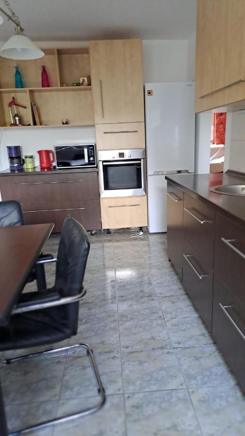 Daria Lorenzo Apartament Тимишоара Екстериор снимка