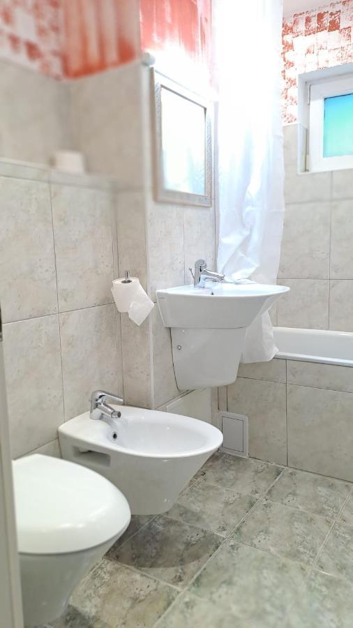 Daria Lorenzo Apartament Тимишоара Екстериор снимка