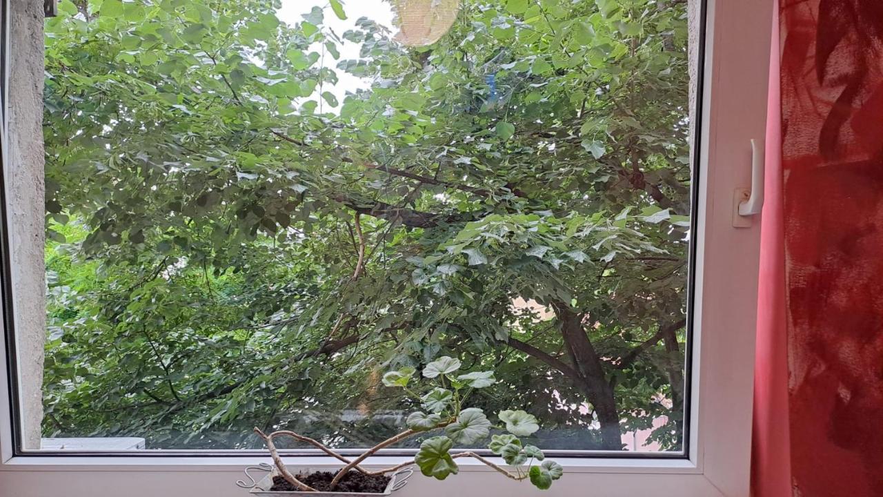 Daria Lorenzo Apartament Тимишоара Екстериор снимка