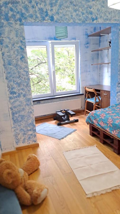 Daria Lorenzo Apartament Тимишоара Екстериор снимка